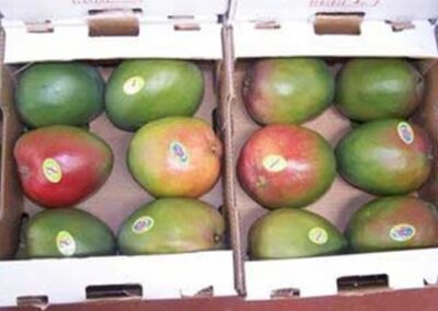 Cartons pour fruits (Réf: abgcpf01)