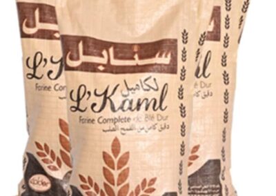 Sac tissé en propylène (Réf: abgstp02)